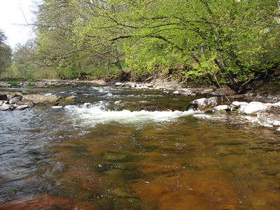 River Usk Penpont